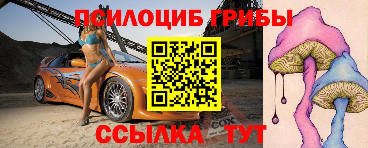 Галлюциногенные грибы Magic Shrooms Выборг