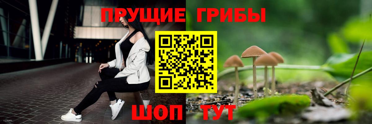 сколько стоит  Вход с VPN  Выборг  Галлюциногенные грибы Magic Shrooms 